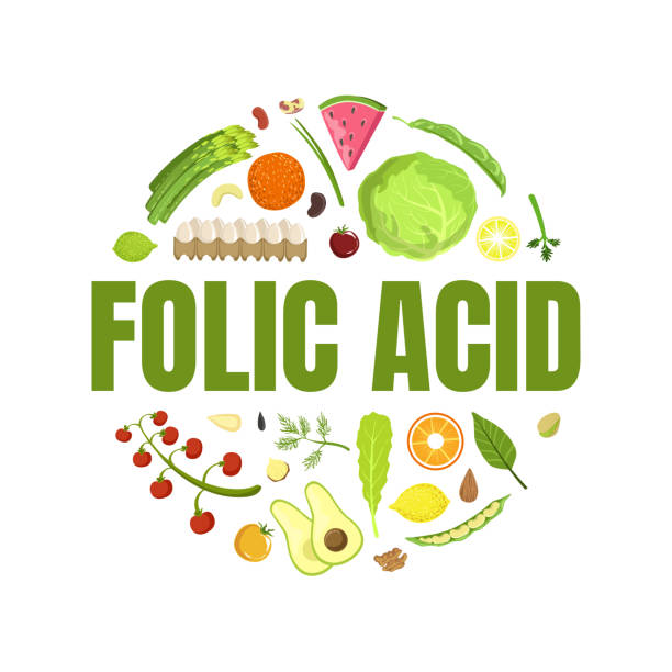importance of folic acid in pregnancy
